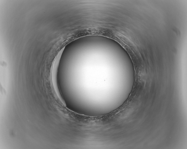 X0000091190865200708091247