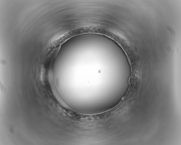 X0000091190869200708091247