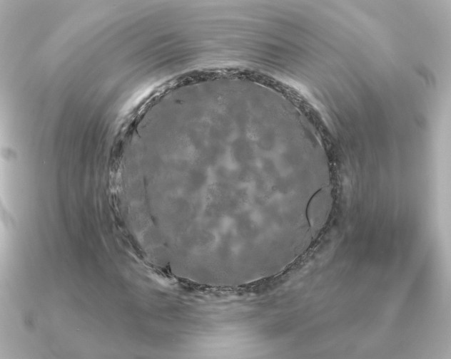 X0000091190871200708091247