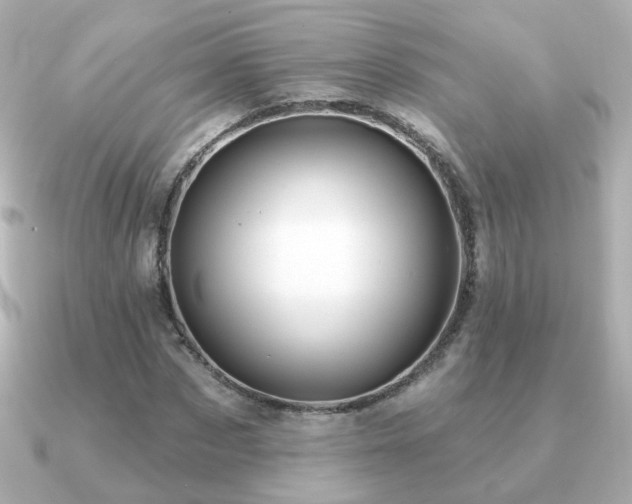 X0000091190873200708091247