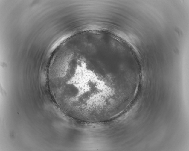 X0000091190874200708091247