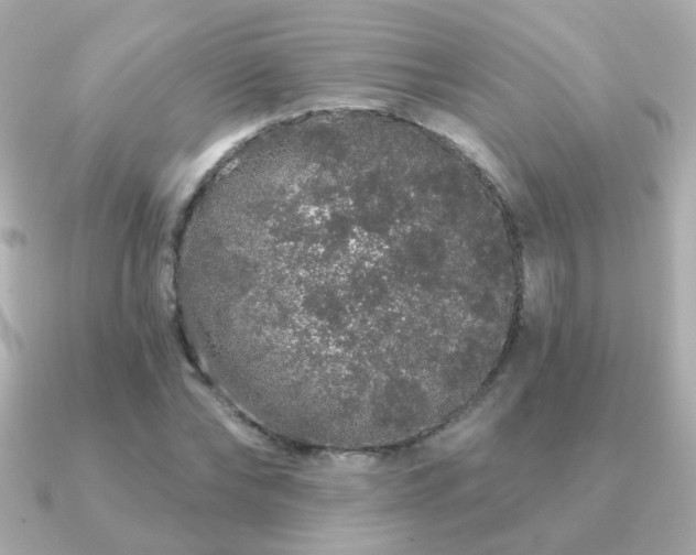 X0000091190878200708091247