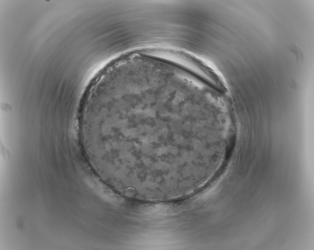 X0000091190879200708091247