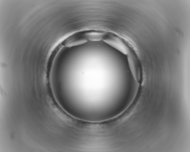 X0000091190880200708091247