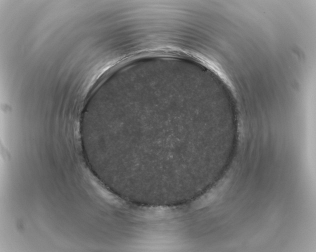 X0000091190881200708091247
