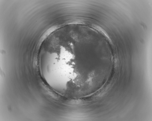 X0000091190882200708091247