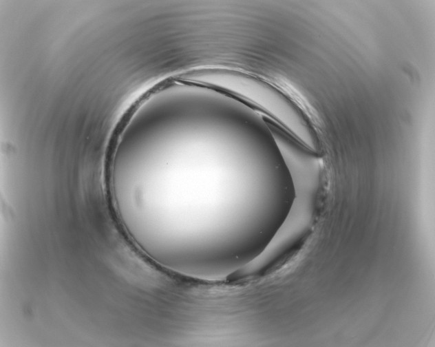 X0000091190884200708091247