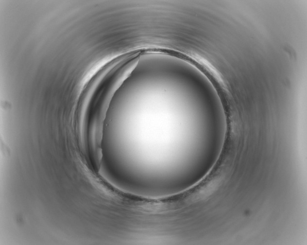 X0000091190885200708091247