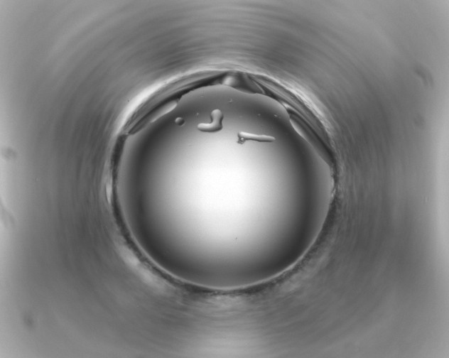 X0000091190888200708091247