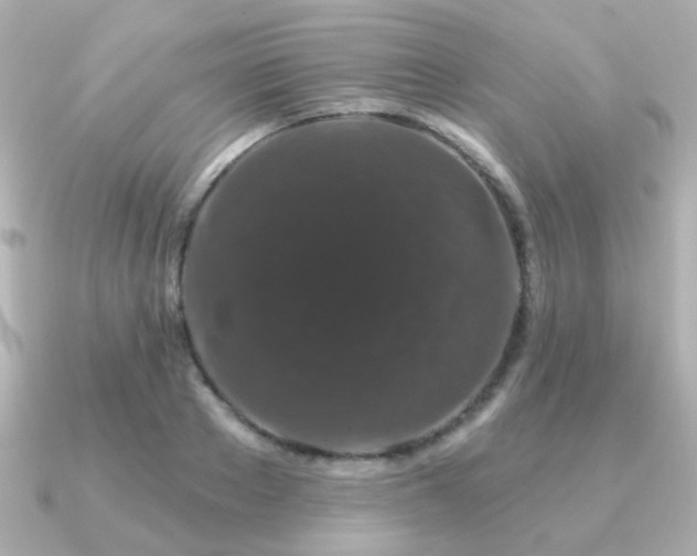 X0000091190889200708091247