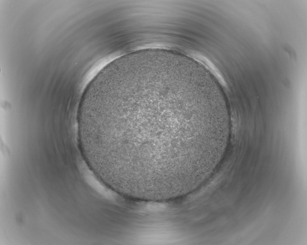 X0000091190890200708091247