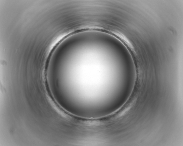 X0000091190893200708091247