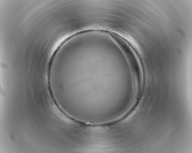 X0000091190896200708091247