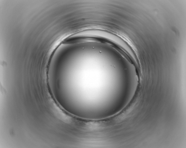 X0000091190898200708091247