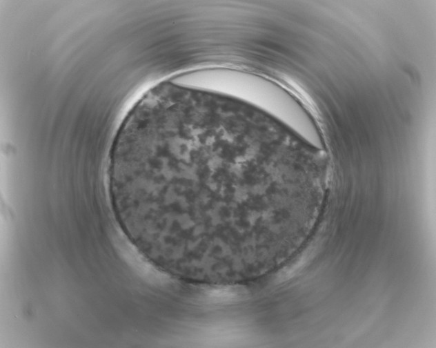 X0000091190899200708091247