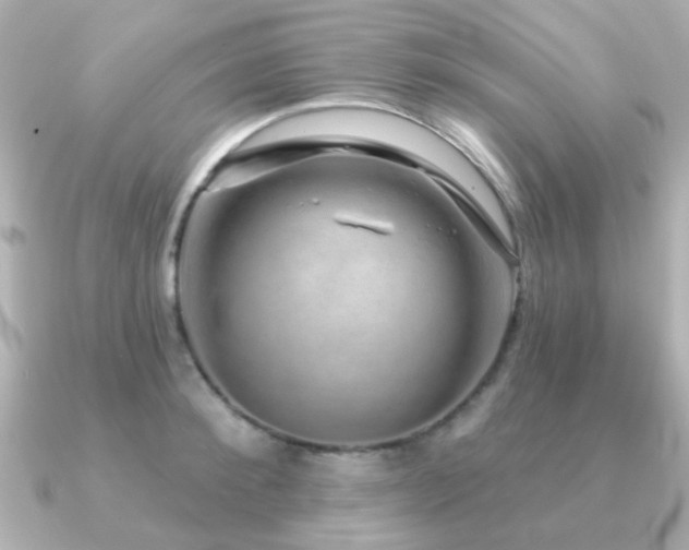 X0000091190900200708091247