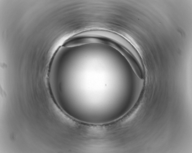 X0000091190901200708091247
