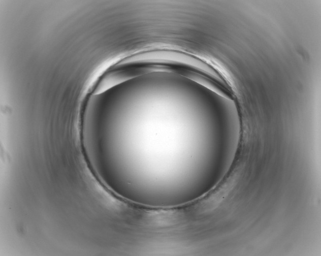 X0000091190902200708091247
