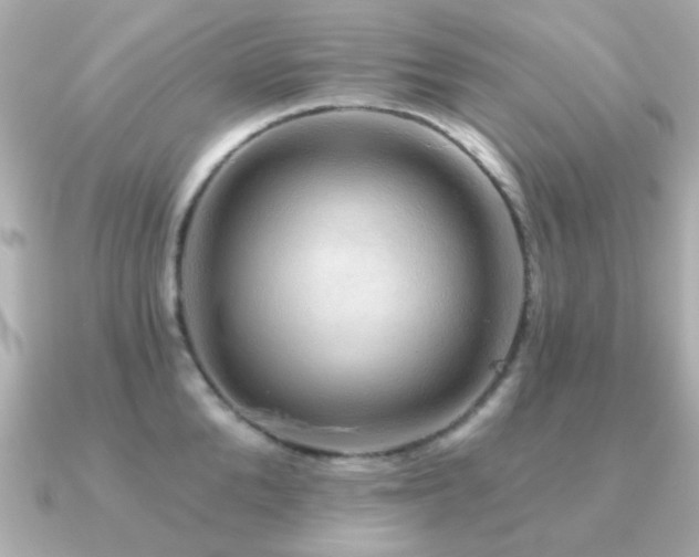 X0000091190904200708091247