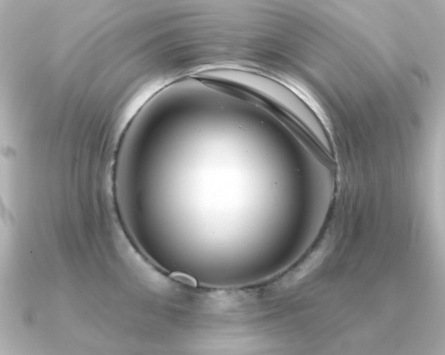 X0000091190906200708091247
