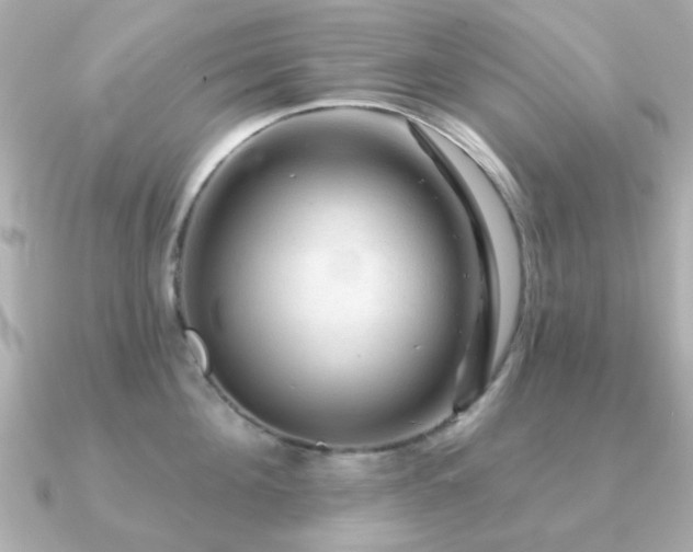 X0000091190908200708091247