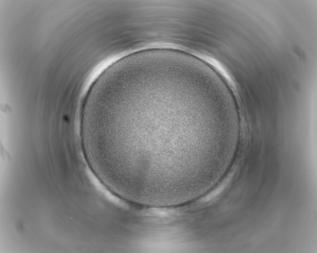 X0000091190910200708091247