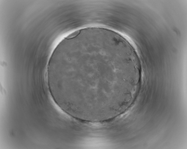 X0000091190911200708091247