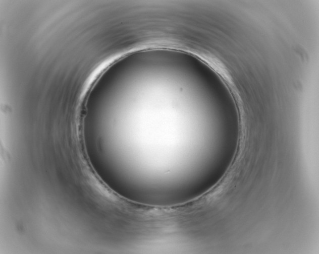 X0000091190912200708091247