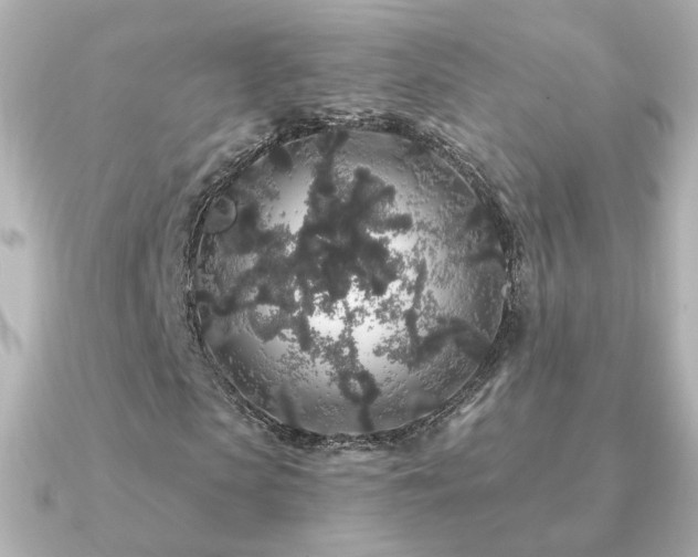 X0000091190913200708091246