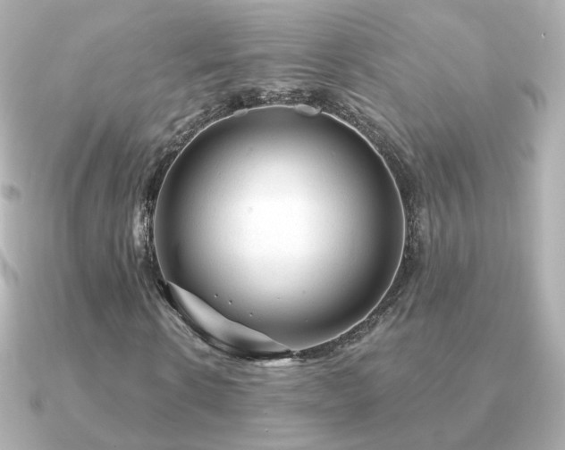 X0000091190914200708091246