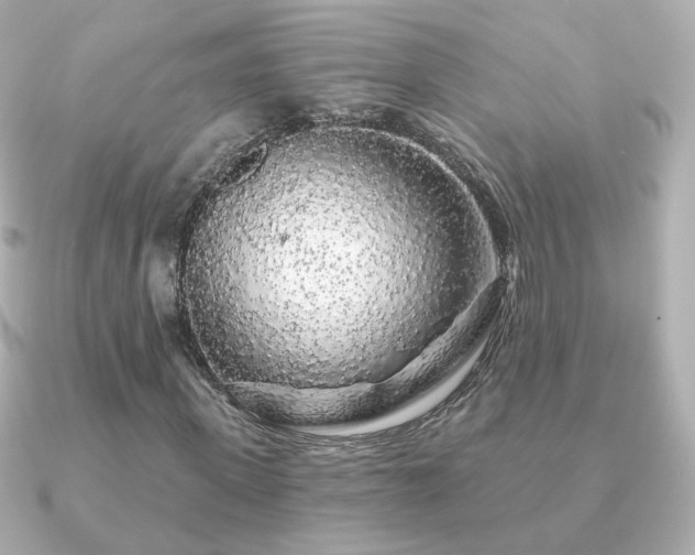 X0000091190915200708091246