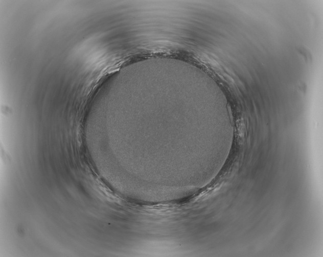 X0000091190916200708091246