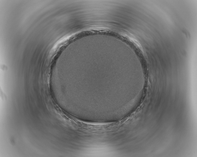 X0000091190920200708091246
