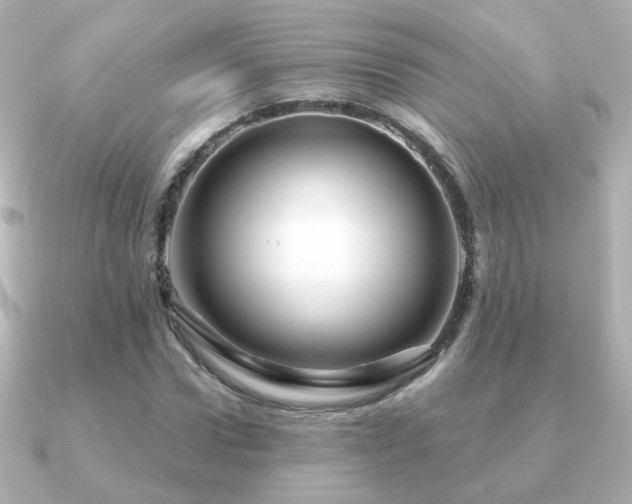 X0000091190922200708091246