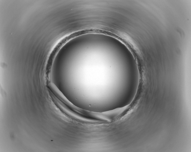 X0000091190924200708091246