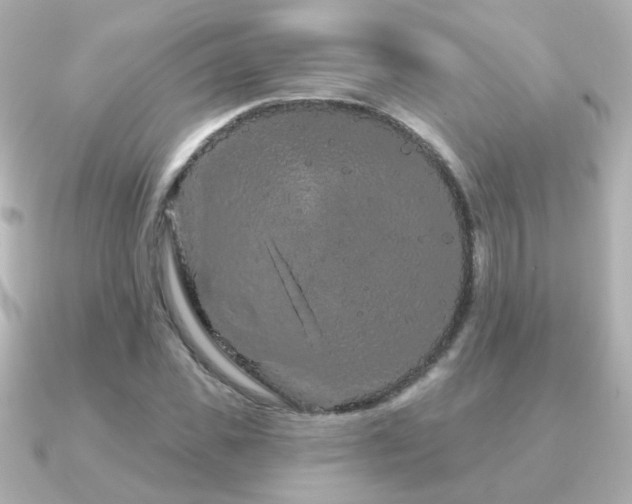 X0000091190925200708091247
