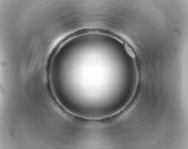 X0000091190927200708091247