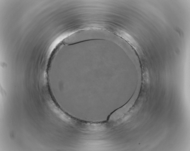 X0000091190928200708091247