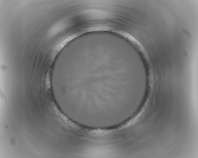 X0000091190929200708091247