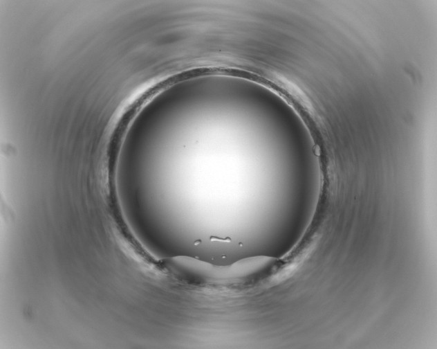 X0000091190931200708091247