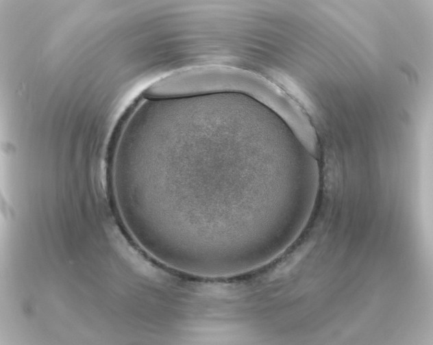 X0000091190932200708091247