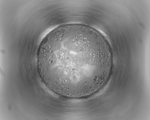 X0000091190933200708091247