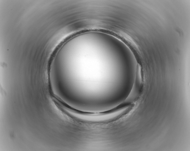 X0000091190934200708091247