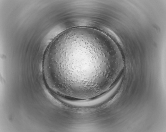 X0000091190938200708091247
