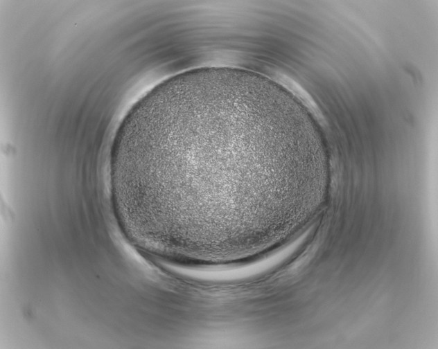 X0000091190939200708091247