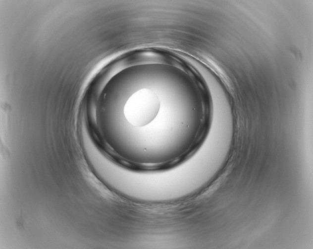 X0000091190940200708091247