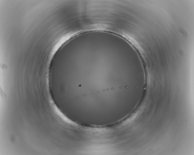 X0000091190941200708091247