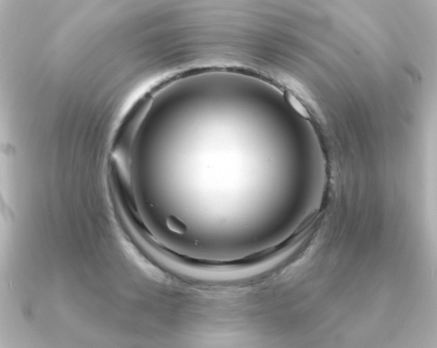 X0000091190942200708091247