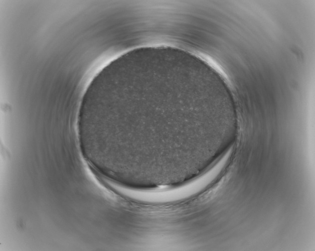 X0000091190943200708091247