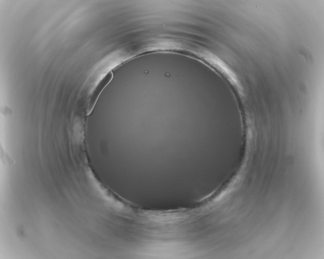 X0000091190945200708091247